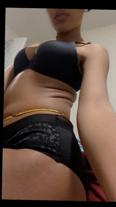 Icesys perfect model galleries