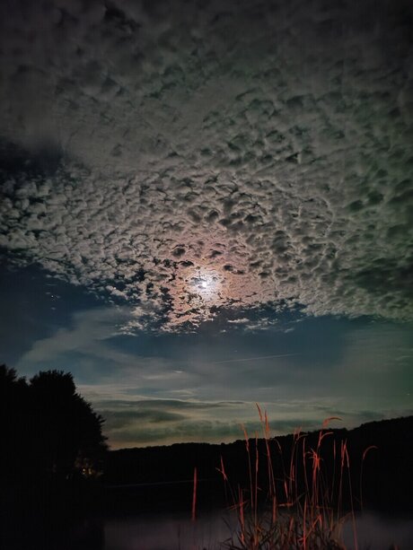 Sunshine Marie star hd gallery