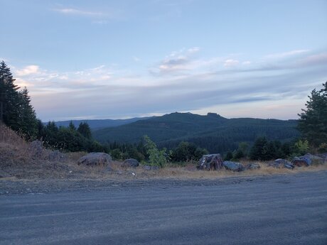 Whatsurdesire perfect star gallery