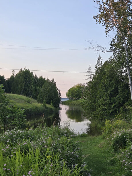 RocketCam_ pornstar hd images