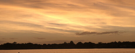 Charli Lane adult model photos