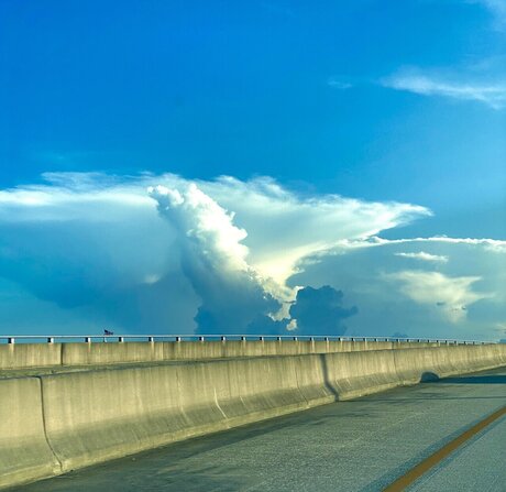 Gustavo Troche art star photos