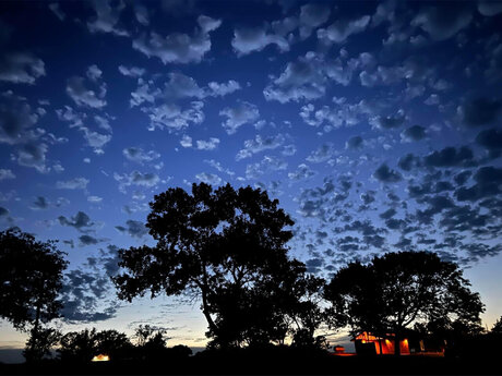 SnoBaby pornographic star photo