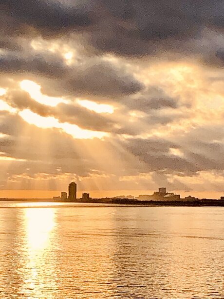 ScarletJade10 star porn image