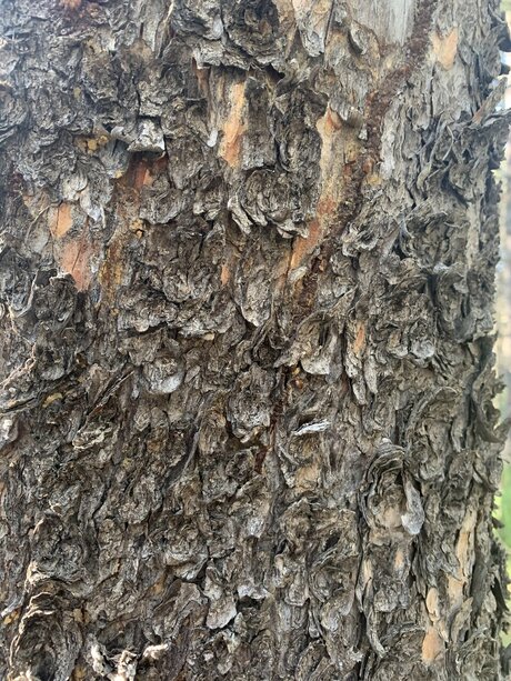 Urgeman377 porn actress gallery