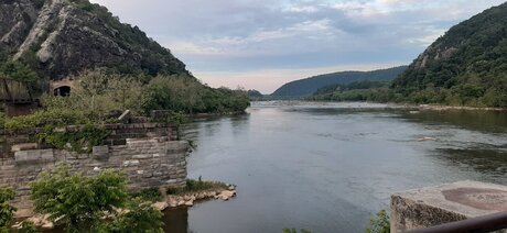 Ella berry nice model gallery