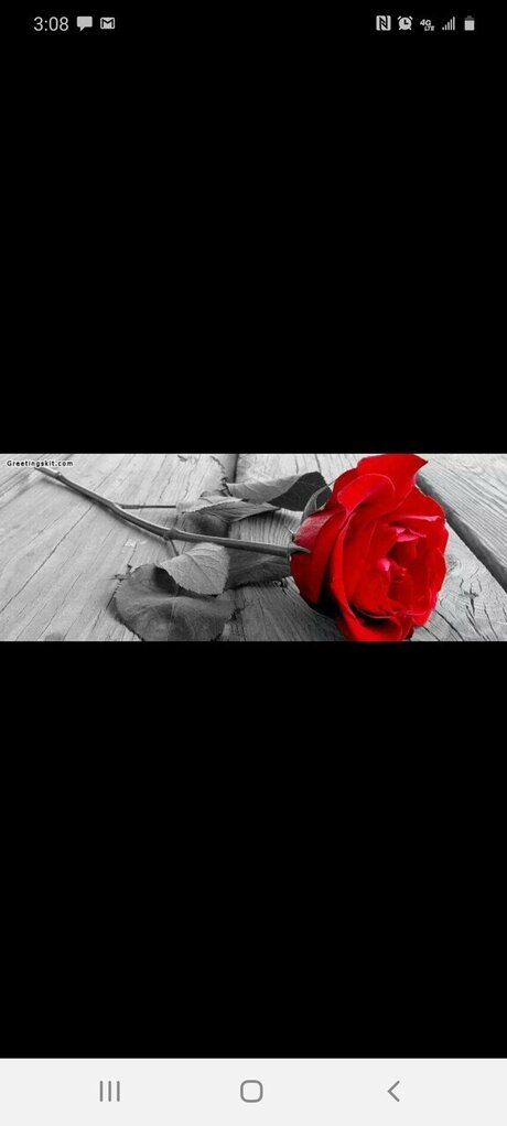 hot ebony onlyfans hot porn photo