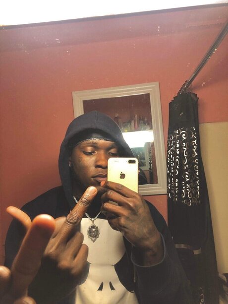 DA H model free gallery