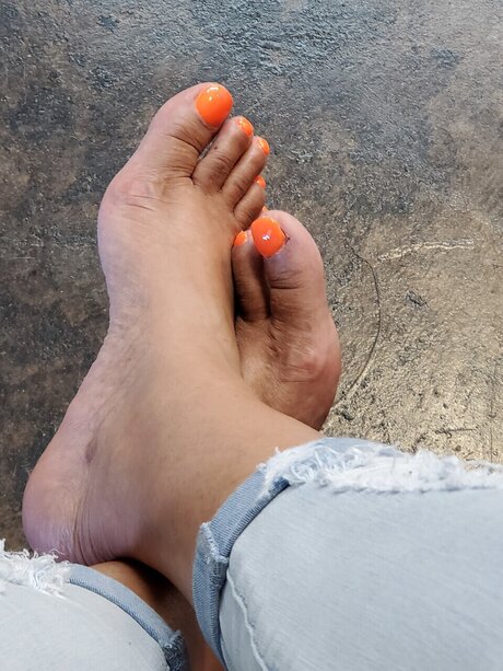 FelecityXL_ best pornstar picture