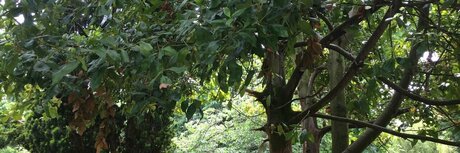 Curt s Acting Naughty pornstar images