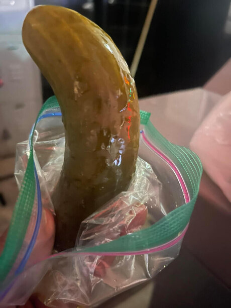 The ussyFairy_ star art gallery