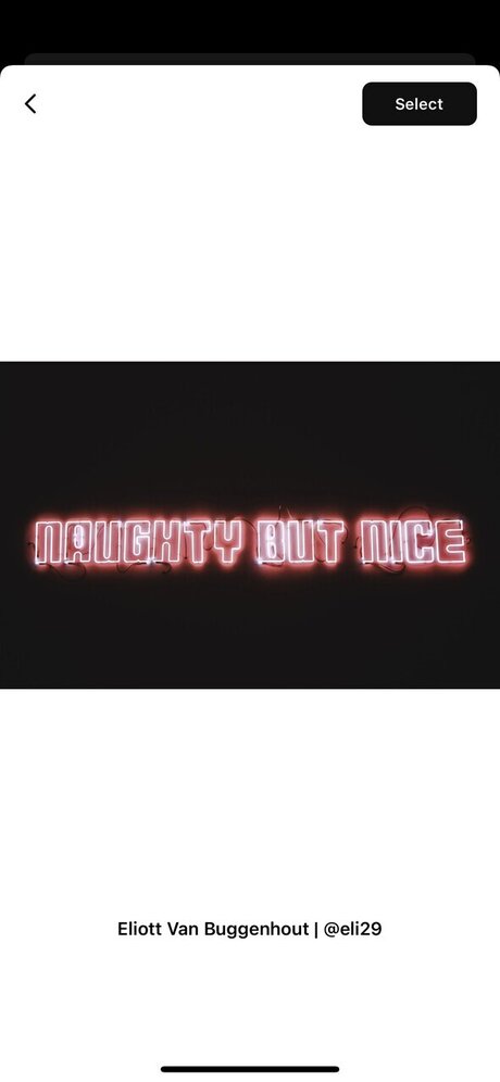 Honey Pie model adult img