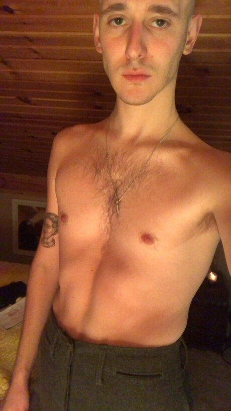 Dillon free star archive