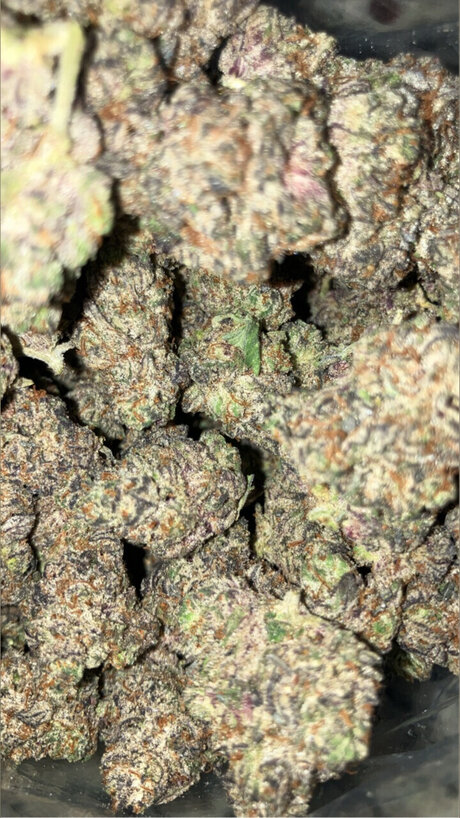 Money Mal pornographic model pics