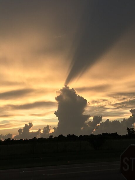 XHEADSHOTX model naked archive