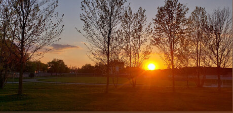 Just a dick hd pornstar img