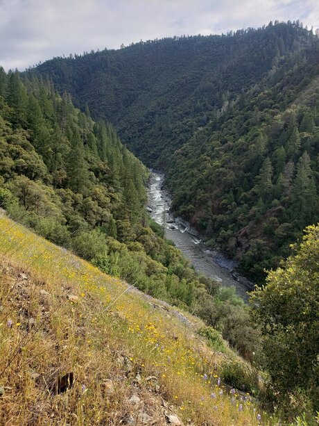 Beautiful star hot gallery