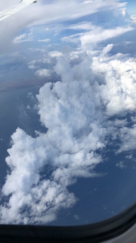 NiCholee top actress gallery