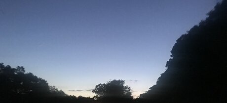 Feet Pic Provider art star pic