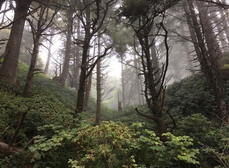 amateur pussy onlyfans free porn image