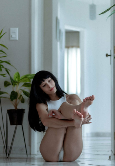 roxiepon star hd gallery