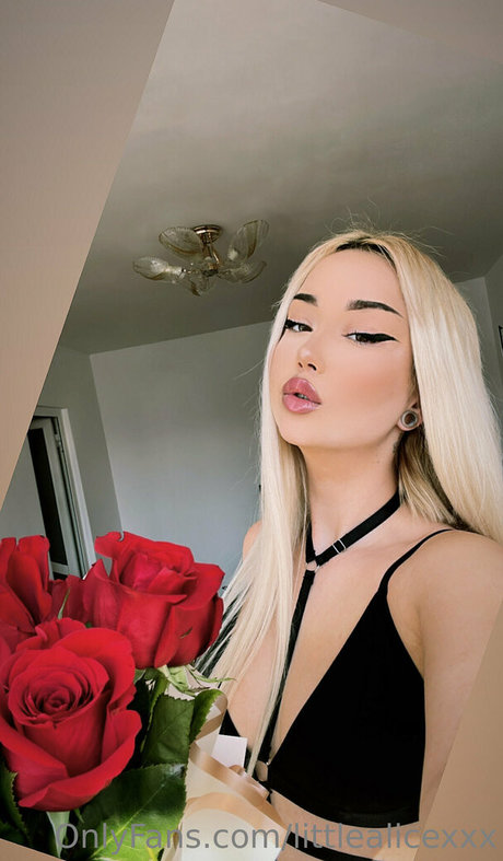 littlealicexxx adult star archive