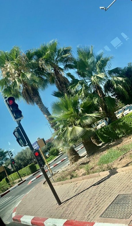 coco lls top actress pictures