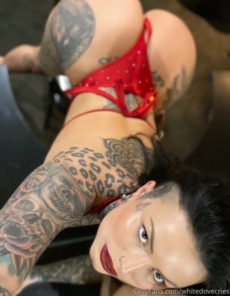 teen trans onlyfans porn archive