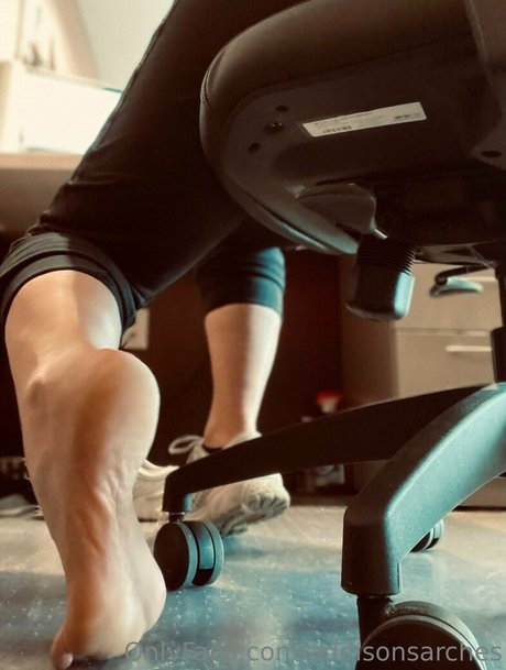 addisonsarches pornstar free archive