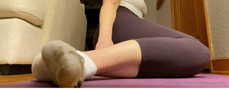 addisonsarches porn star galleries