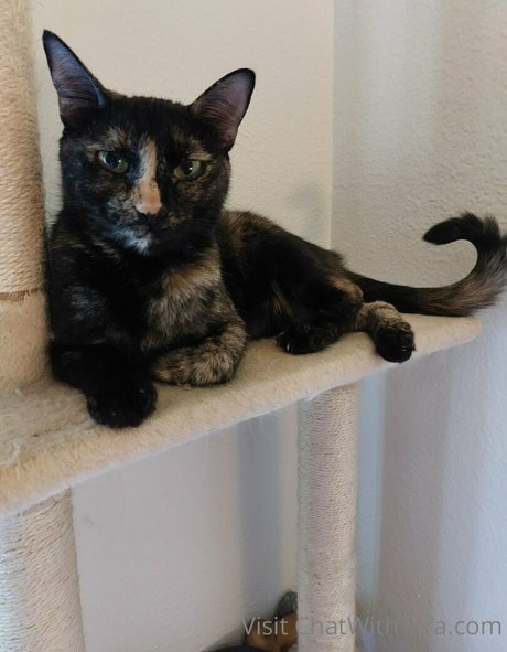 asian princess onlyfans art naked photo