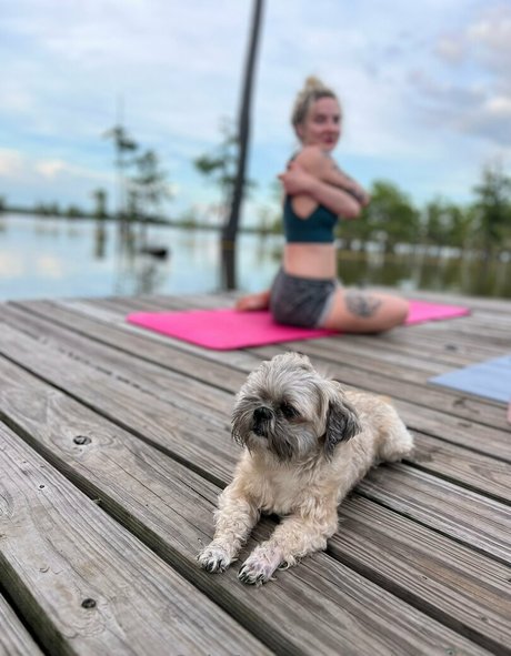 stellafreexxx star sex img