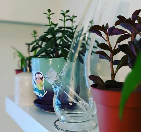 wetrosie best model img