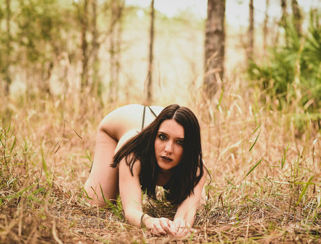 tglite high quality star archive