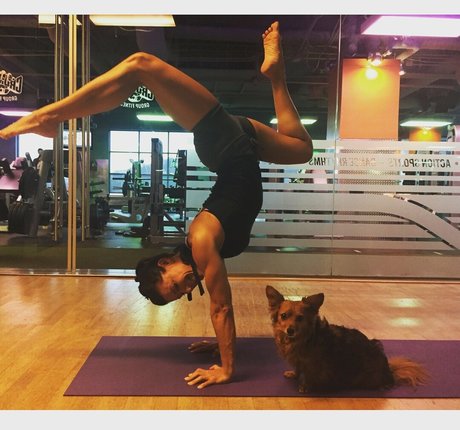 Iliza Shlesinger nude star pics