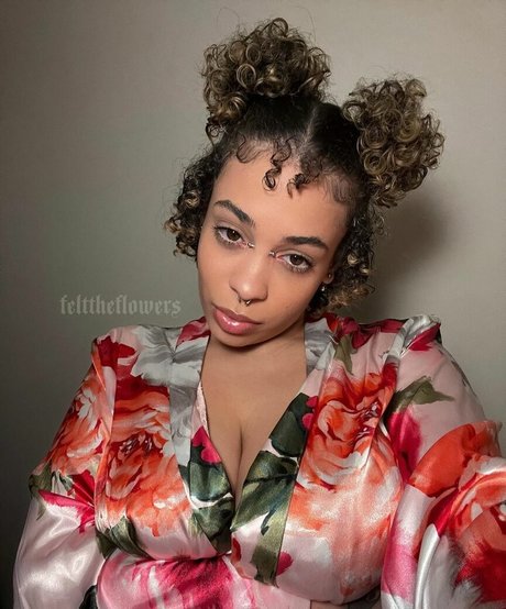 flowers hd star galleries