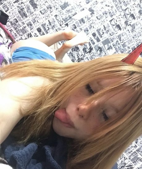 Melry model perfect galleries