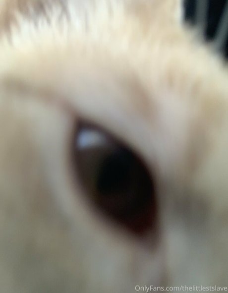 thelittlestslave nude model photos