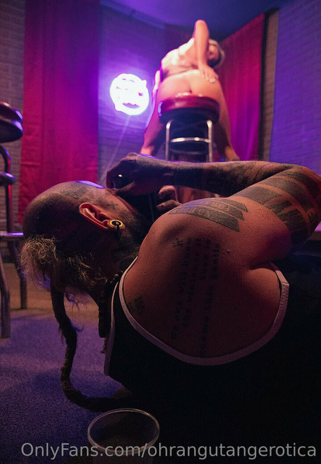 ohrangutangerotica top pornstar image