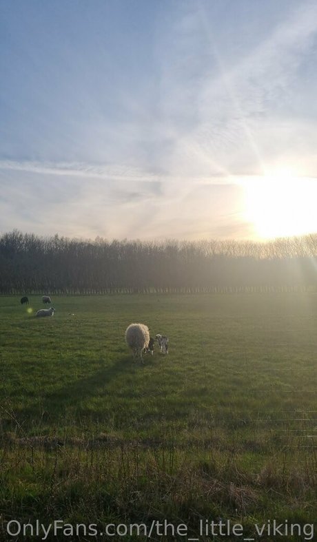 the little viking model nudes pics