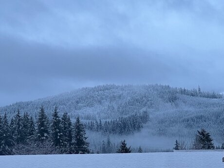 Elchapoleen nudes model photos