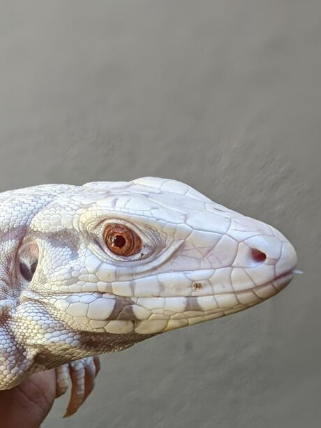 heatandhoney erotic star pictures