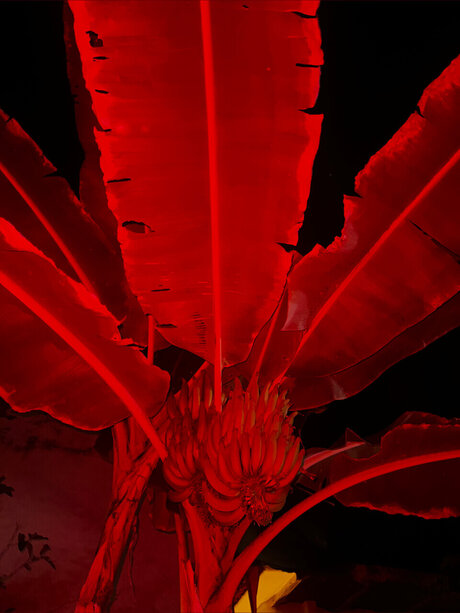 babybutter666 best star image