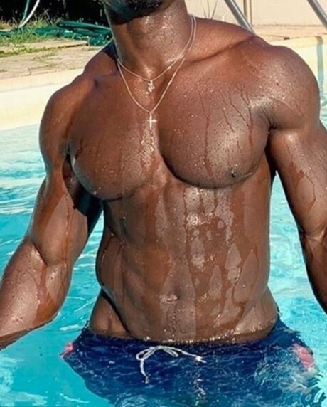 Jamaican Teddy star best pic