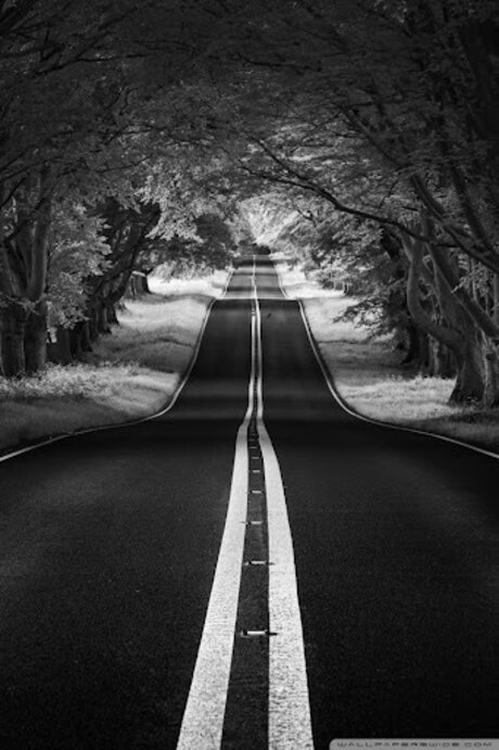 ThatOneGirl_ pretty actress archive