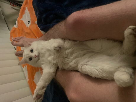 young free onlyfans porno pic