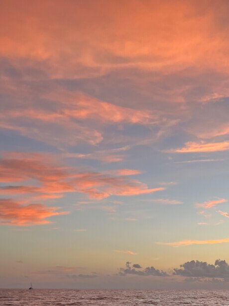 English Barbie_ hot star pics