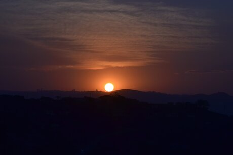 Coach Davis star best img