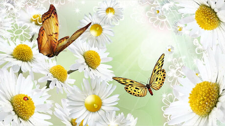 Misfit Barbiie pornographic star images