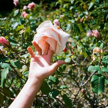 Miss Laia star erotic pic